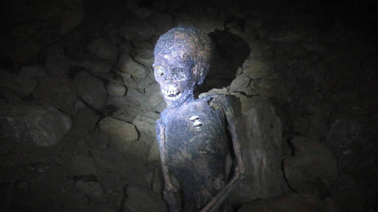 The Wilderness Tapes: Volume One Movie Screenshot 2