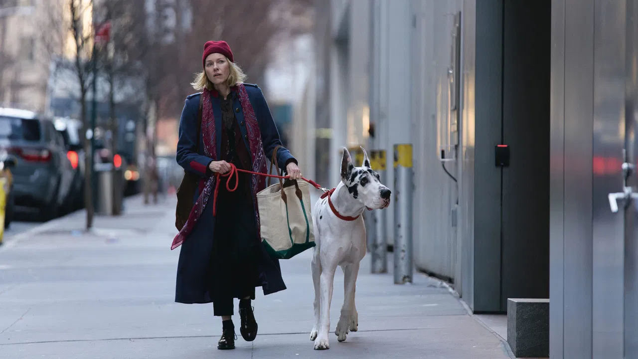 The Friend Movie Screenshot 3